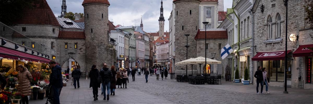 Serwis (v.AR, study, Estonia) إستونيا. التعليم العالي: جامعات, دراسات الدرجة الأولى, دراسة الماجستير, دراسات الدكتوراه